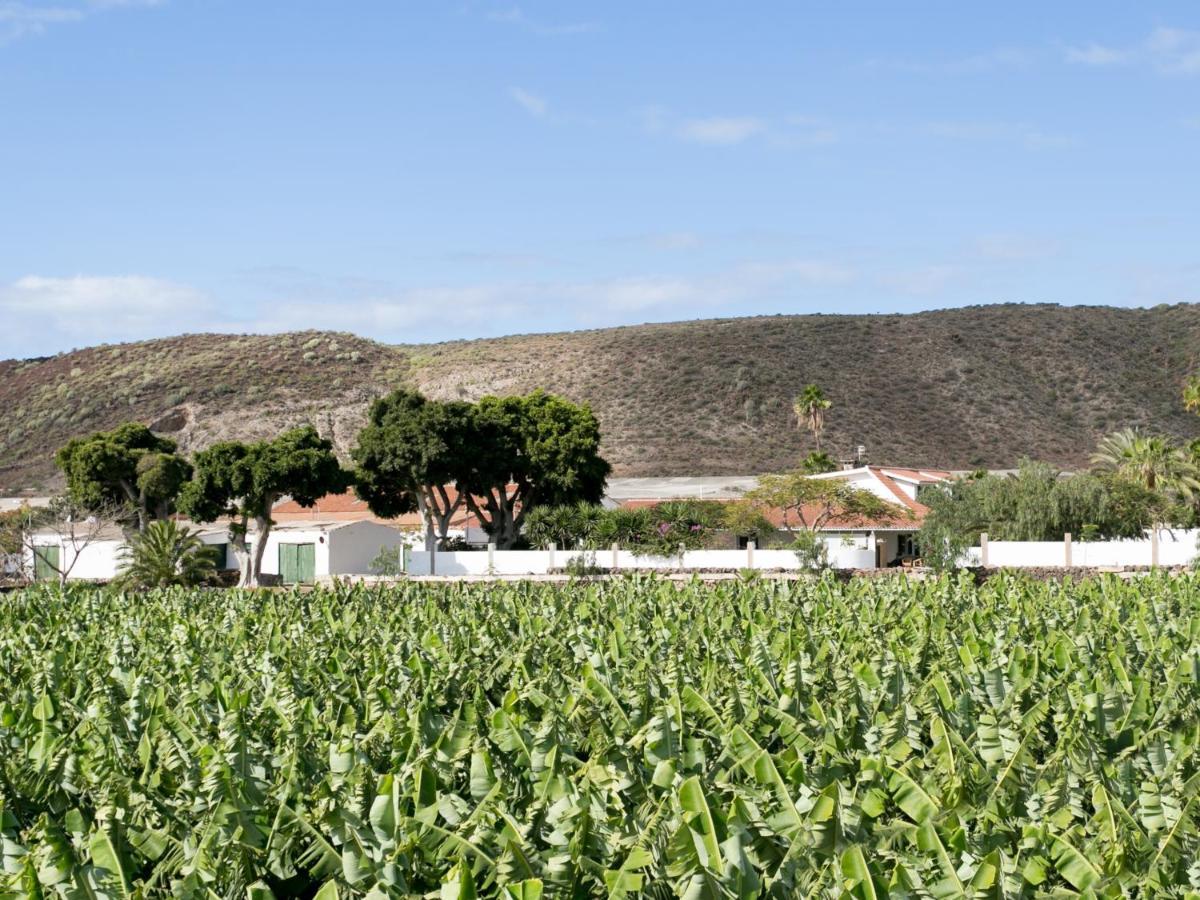 El Mato Caserio De Guaza Εξωτερικό φωτογραφία